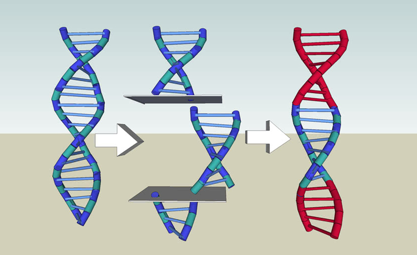 Gene-Silencing RNAi Pesticides: Risks and Regulatory Gaps