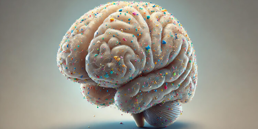 Microplastics and Human Health: Emerging Risks and Practical Strategies