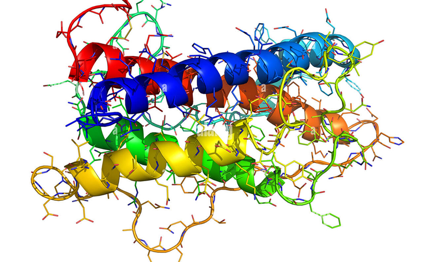 New Science Alert: The 2025 Science Behind HGH Stimulate