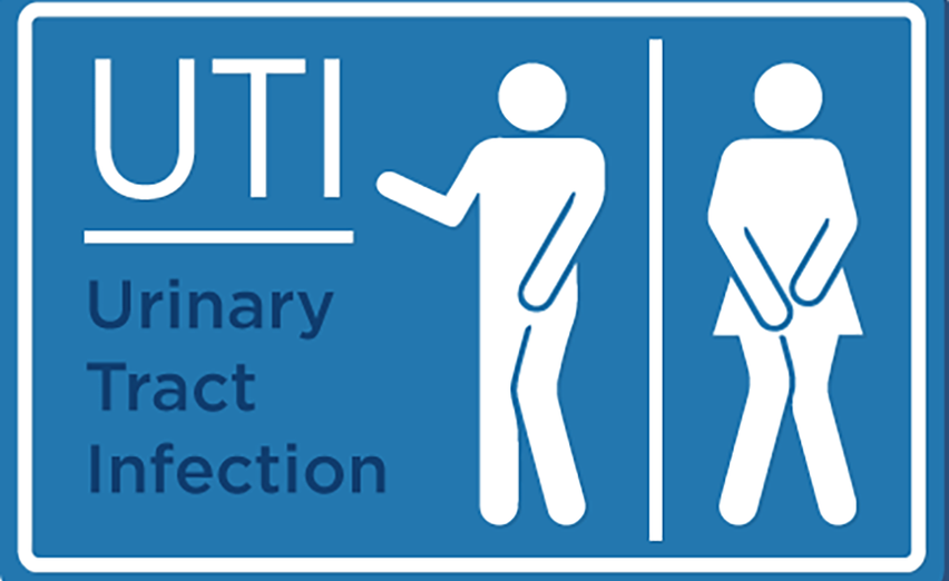 Overcoming UTIs Naturally: The Power of Hyaluronic Acid and Chondroitin Sulfate