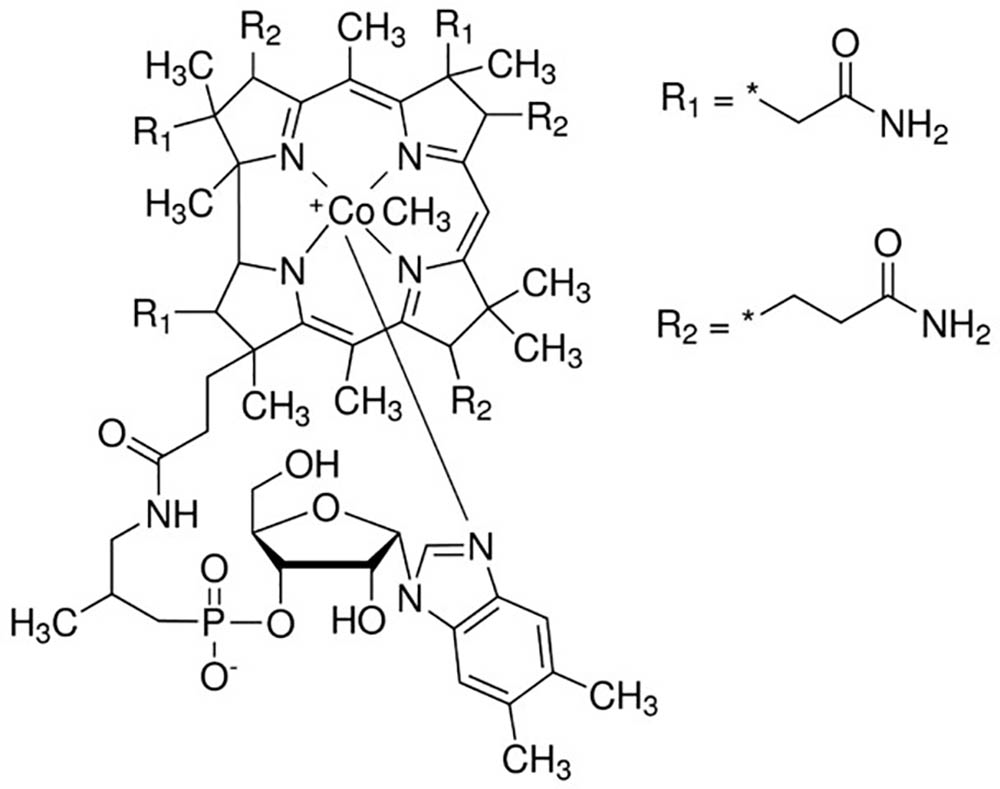 The Importance of Methylated B Vitamins
