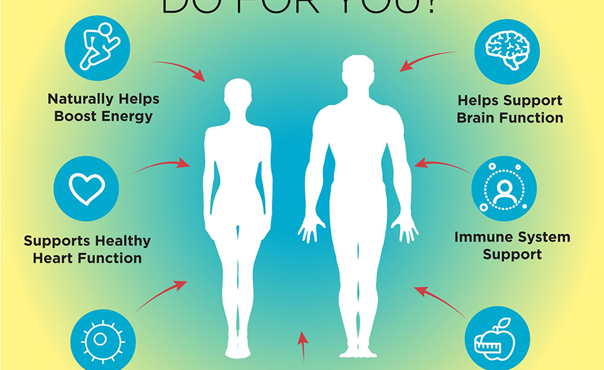 10 Reasons Healthmasters' Ultimate Multiple Powder is Your Natural Health Ally