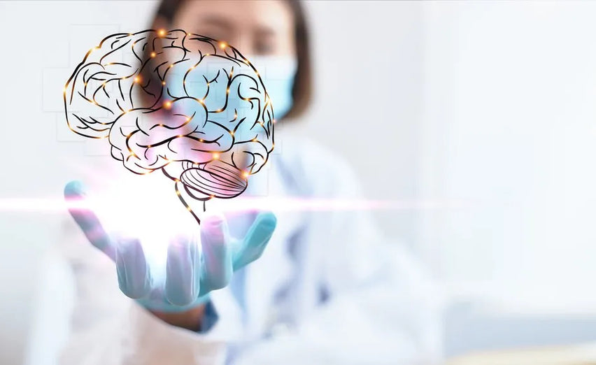 Can a Lack of B Vitamins Be Damaging To Your Brain?