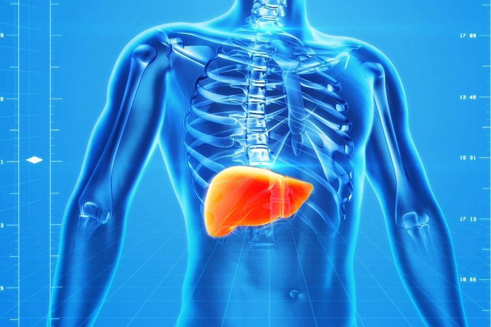 Beyond Detox: Maximizing Liver Health Through Natural Substances and Research Insights
