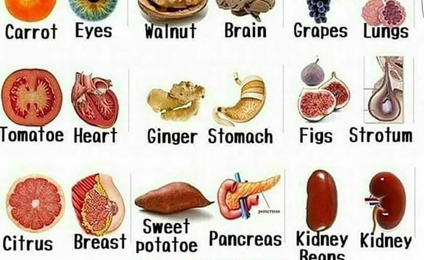 Foods That Resemble the Organ They Heal