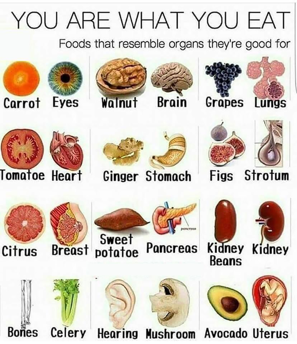 Foods That Resemble the Organ They Heal
