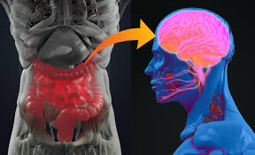 The Gut–Brain Axis: Supporting Neuropsychiatric Wellness Through the Microbiome