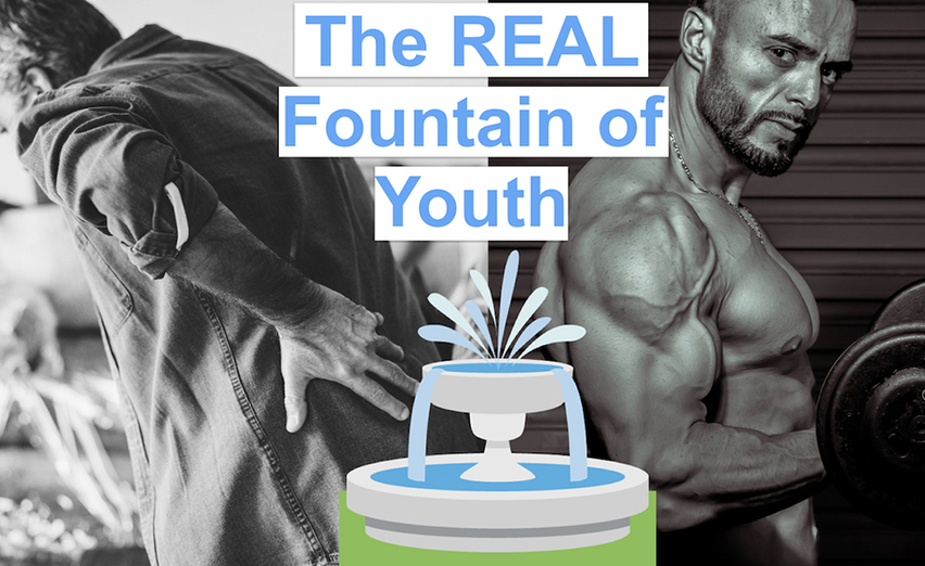 HGH Stimulate: A Review of Ingredients