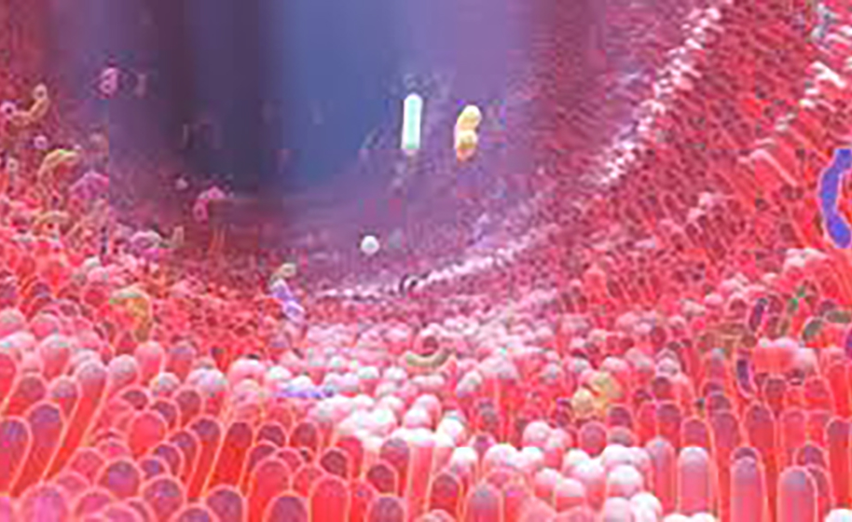 Microbiome Modulation: Exploring the Gut-COVID Connection