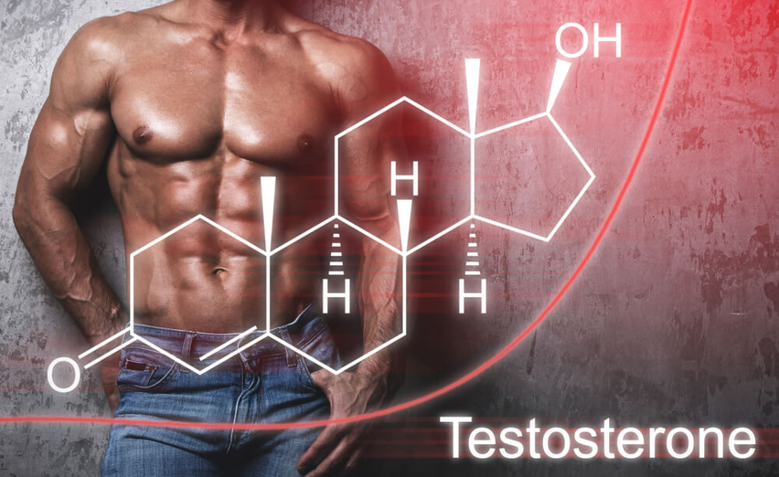 Testoplus: A Review of Ingredients