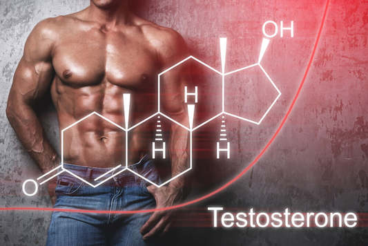 Testoplus: A Review of Ingredients