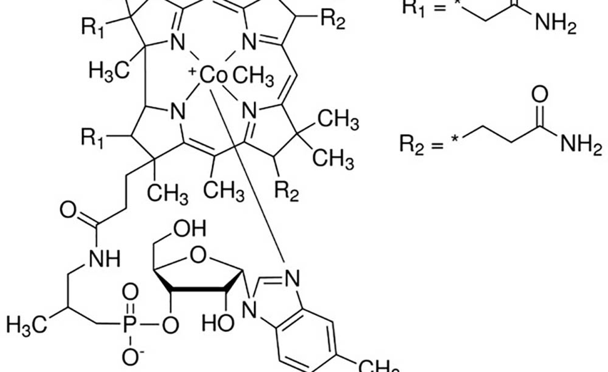 The Importance of Methylated B Vitamins