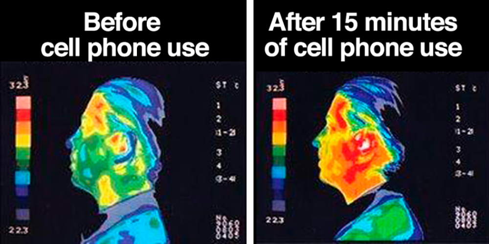 The Link Between Cell Phones And Cancer