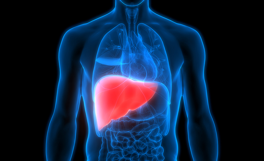 Zinc, Liver Cancer, Liver Disease, Age-Related Diseases