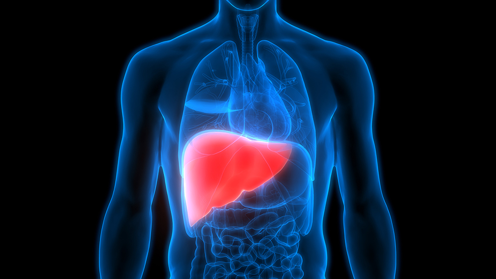 Zinc, Liver Cancer, Liver Disease, Age-Related Diseases