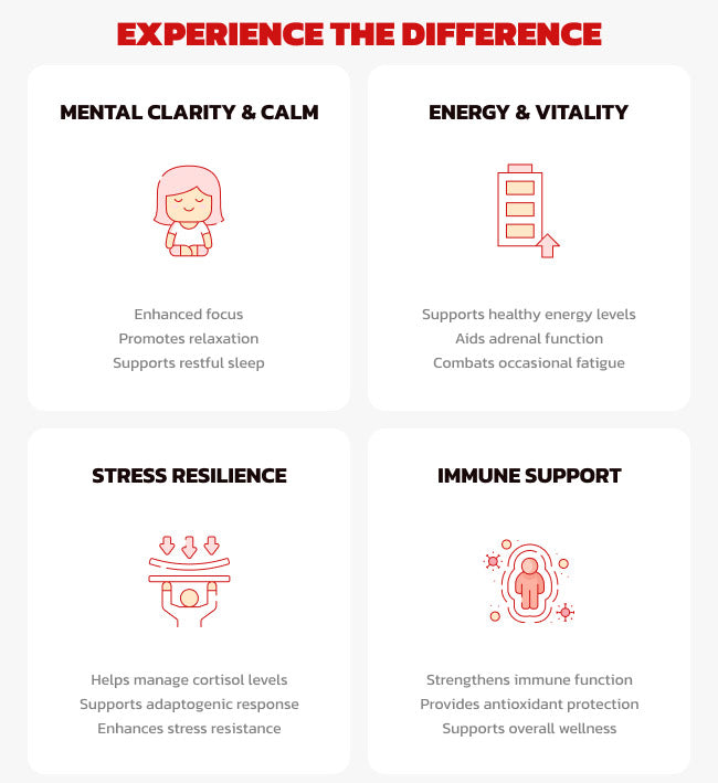 Ultimate Stress Control Kit